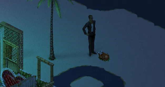 An image of Véliocasse standing behind a roast turkey, on a beach